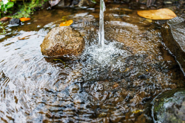 istock close up of water flowing towards the rice fields 2148792014
