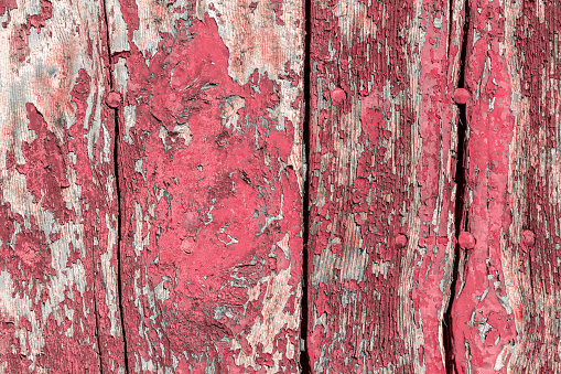 Color-Peel wood texture. Ideal for backgrounds.
