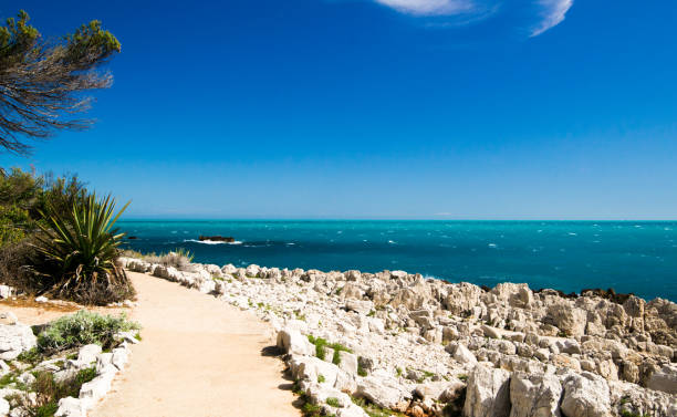 istock The Tirepoil footpath in 