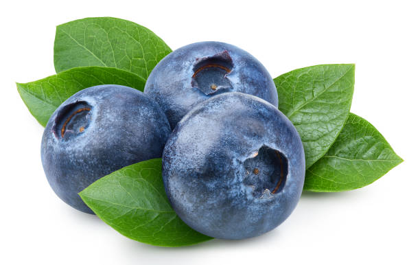 istock Organic blueberry isolated on white background 2148795265