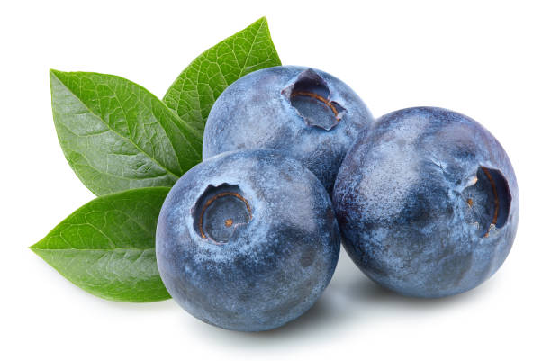 istock Organic blueberry isolated on white background 2148795326