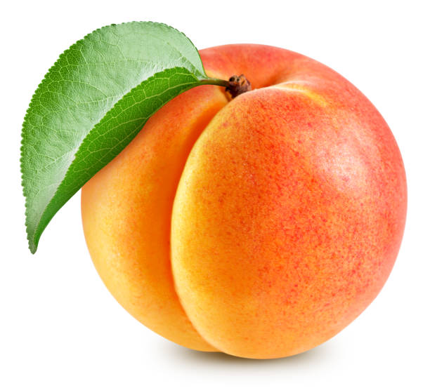 istock Apricot with apricot leaves isolated 2148795364