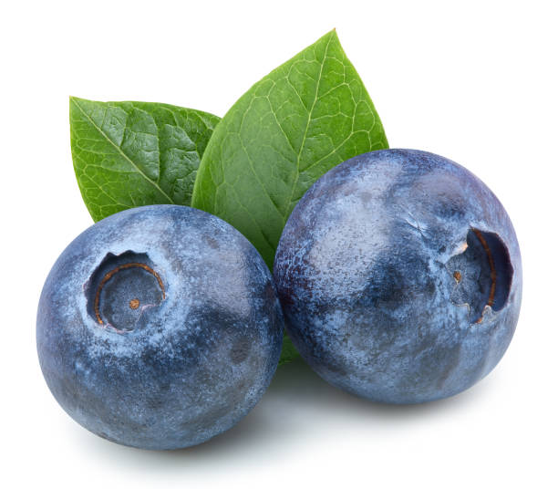 istock Organic blueberry isolated on white background 2148795546