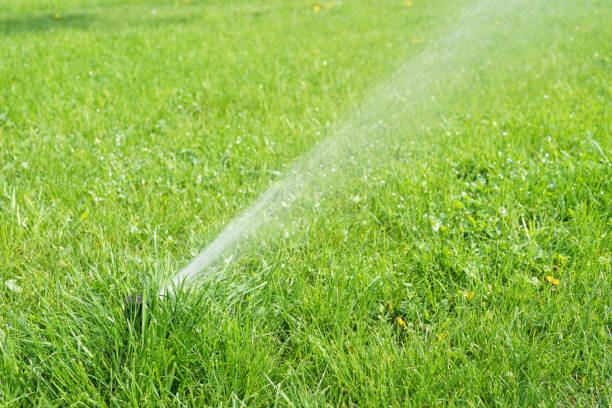 istock Automatic smart lawn sprinkler with adjustable head watering green lawn grass in sunny day 2148796221