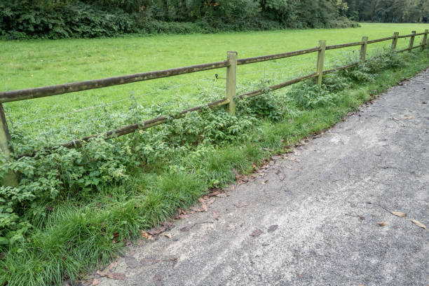wonderful path in the beautiful landscape