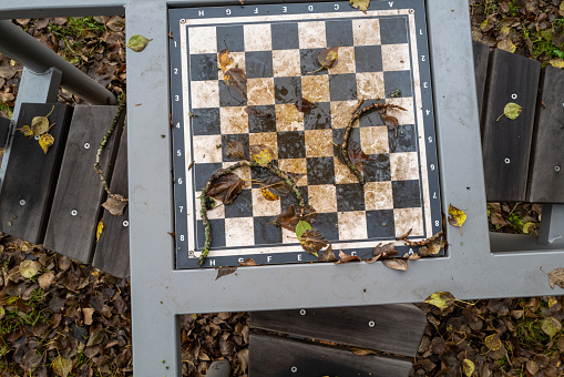 weatherproof chessboard outside in autumn
