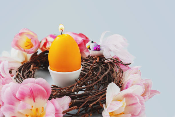 candle in the shape of an egg. Easter, holidays, traditions and object concept - burning candles in the shape of eggs and tulip flowers over a decorative bird's nest. Copy space