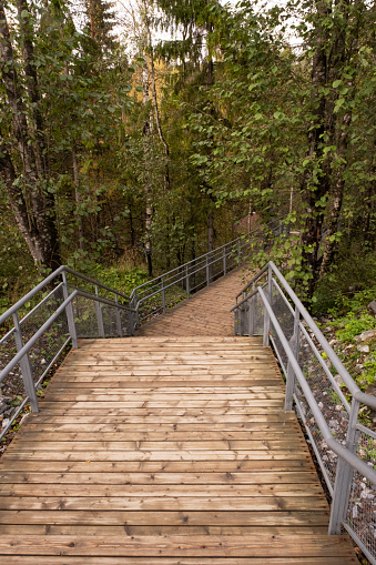 Wooden staircase in the park for nature walks.