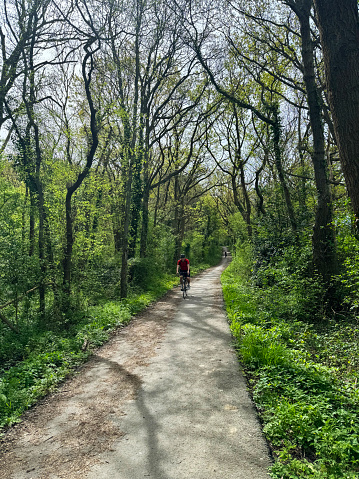 Cyclist riding along a cycle route through woodland, part of the National Cycle Network, in Whitstable in Kent. April 2024