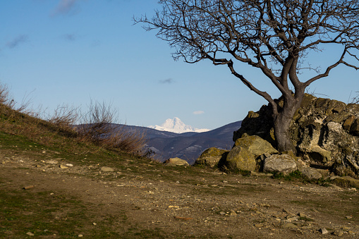 Morning view of Mount Mkinvartsveri (Kazbek) from the territory of the Jvari monastery. Tree without leaves on rocks in the foreground. Blue sky with heavy clouds. Mtskheta, Georgia.