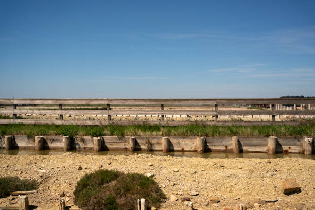 istock Sicciole saltpans natural park 2148801719