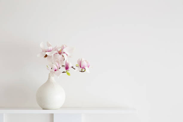 istock magnolia flowers in vase in white background 2148802650