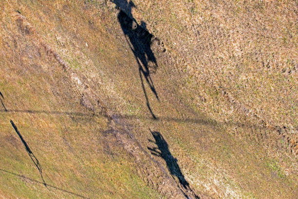 abstract background of a slope without snow with a shadow from a ski lift
