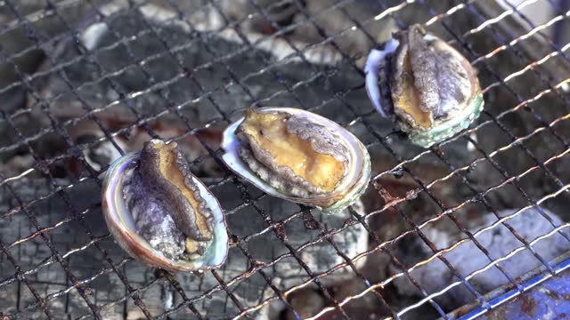 Abalone grilling, barbecue, and aquaculture in Fukushima, Hokkaido