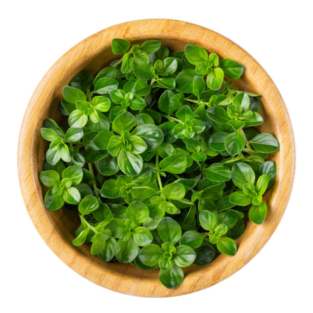 Fresh thyme leaves in wooden bowl isolated on white background. Top view.