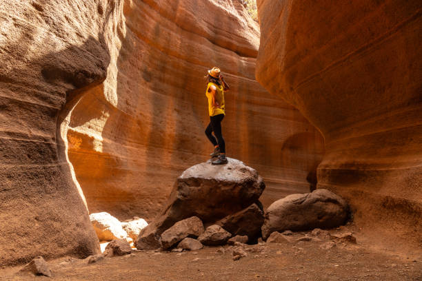 istock A person is standing on a rock in a canyon 2148805062