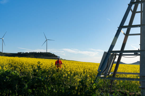 istock Agricultural engineer inspecting the quality of rapeseed flowering, quality control 2148805311