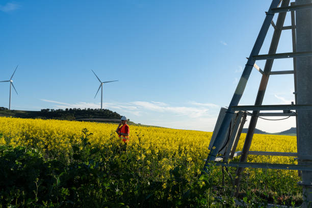 istock Agricultural engineer inspecting the quality of rapeseed flowering, quality control 2148805320