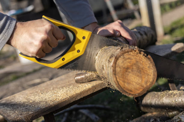 istock Man sawing handsaw old tree. Man at work. Male hand with a saw 2148805605
