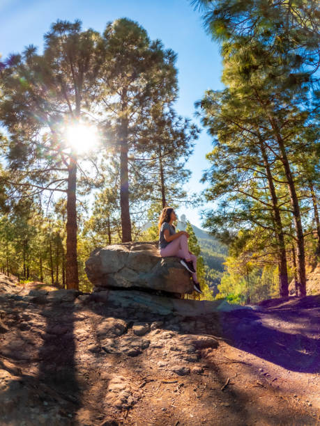 A woman sits on a rock in a forest