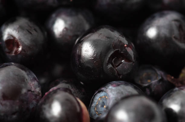 Close-up of blueberries as a background. Macro.