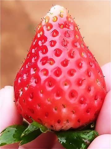 Close up of frozen raspberries