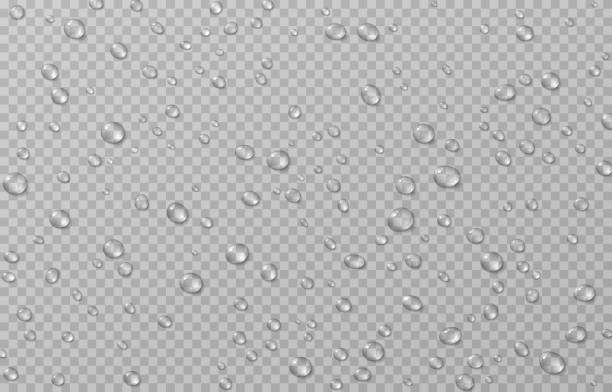Vector drops. Drops after rain, drops of dew. Condensation on the surface or glass. Drops on isolated transparent background. Vector drops. Drops after rain, drops of dew. Condensation on the surface or glass. Drops on isolated transparent background. Vector. rain drop stock illustrations