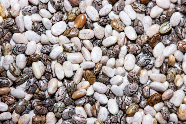 istock Organic Quinoa Chenopodium quinoa seeds Macro close up background texture. Top view. 2148810941