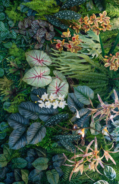 istock Group of dark green tropical leaves background. 2148811581
