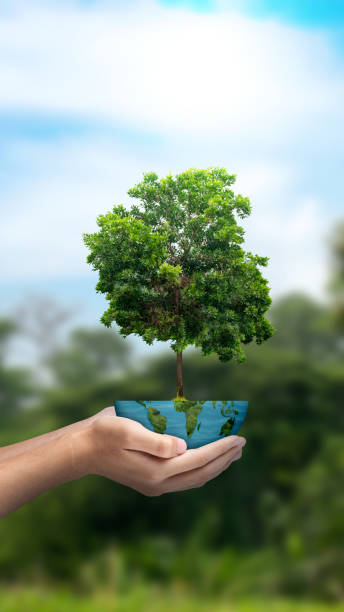 istock A human hand holding a globe with a growing plant 2148811853