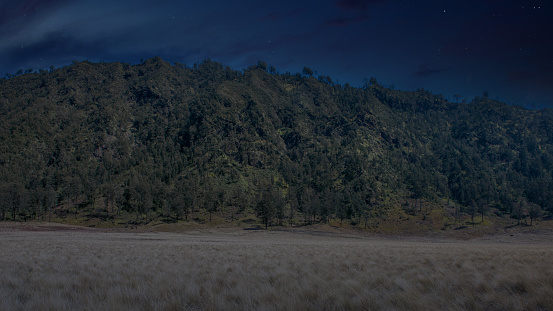 Beautiful landscape view of an empty green hills at night with no lights. Summerfield of trees, grass and mountain for hiking with copy space.