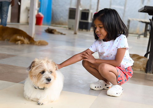 A young Asian girl laughs with delight as she interacts with her adorable dog