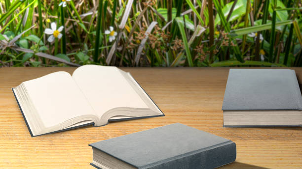 Books on the wooden table. World Book Day concept