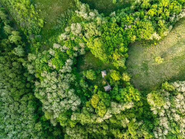 istock Panoramic view of the mountain covered with forest and meadows in spring 2148816918