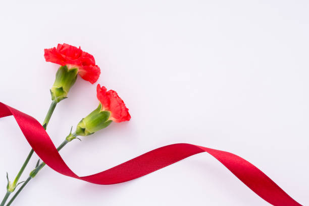 istock Flowers, carnations, Mother's Day, presents. 2148817988