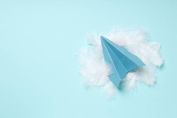 istock Paper plane and feathers on blue background 2148820498