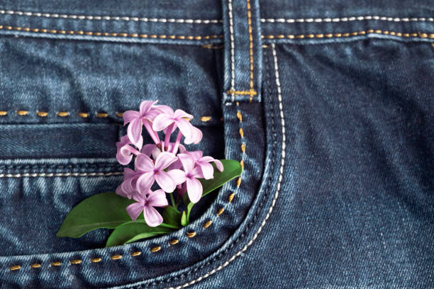 blue jeans texture, denim belt braided pigtail curb, red rose, retro vintage style