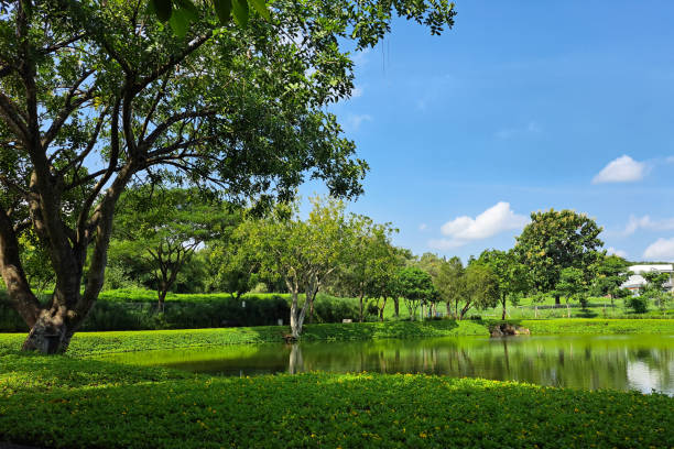 istock Beautiful lakeside view from a small lake in Indonesia 2148821740