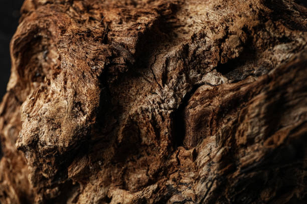 istock Wooden texture background, close up, concept of different backgrounds 2148821907