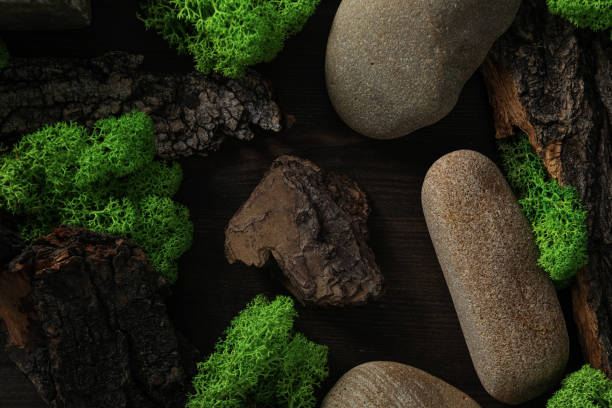 istock Moss, different backgrounds for nature concept, moss and wood, moss and stones 2148821966