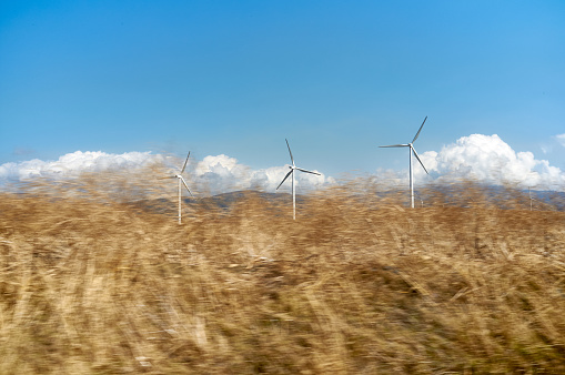 Blurred photo of a wind farm from a moving car with wind turbines seen over golden grass against a blue sky in a concept of renewable or green energy. Windmills in the foothills of Tarifa, Andalusia, Spain