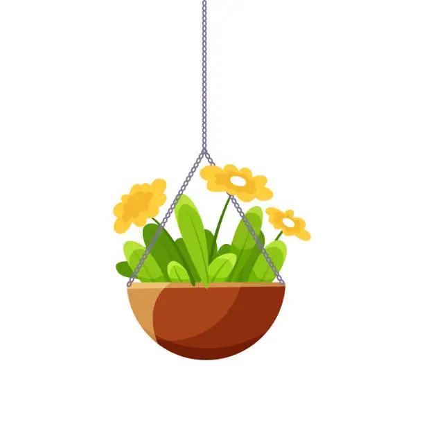 Vector illustration of A hanging flower pot with yellow flowers and green leaves, flat vector illustration on a transparent background, concept of home decor. Vector illustration