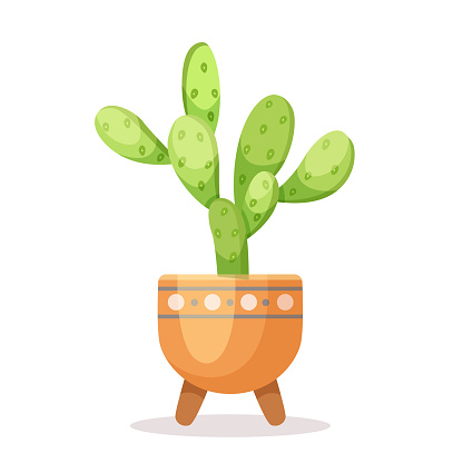 Vector illustration of a prickly pear cactus in a decorative pot, flat style, on a white background, concept of home plants. Vector illustration