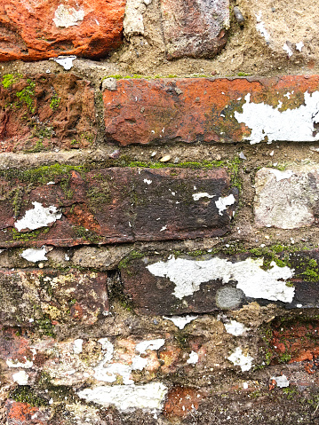 Old brick wall with plaster remnants.