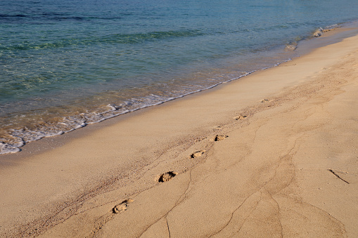 Footprints on the sand of the beach.