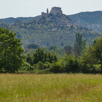 Photo of a landscape with a meadow in provencal nature and the castle of queen Jeanne (or castle of Roquemartine) on its hill in the Alpilles in background. This photo was taken in Provence in France.