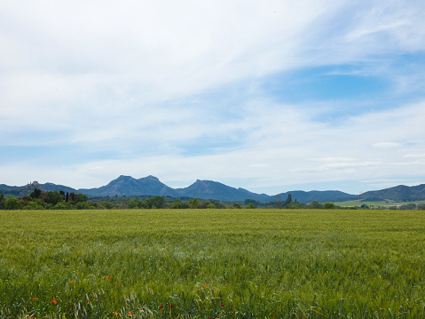Magnificent landscape photo with a large and beautiful meadow and the Opies mountain in the Alpilles in the background under a blue and cloudy sky. This nature photo was taken in Provence in France.