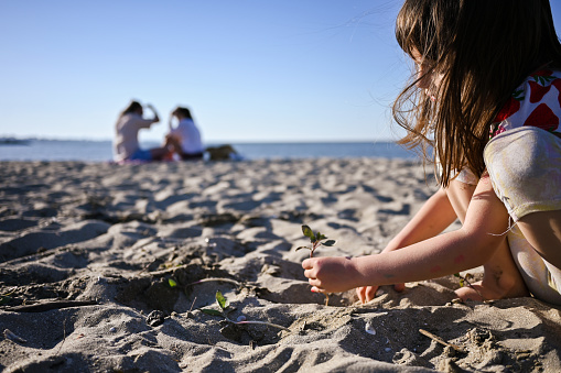 Child playing with plant on a sand.