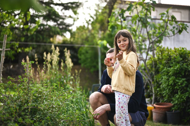 istock Vegetable garden in back yard. 2148831886