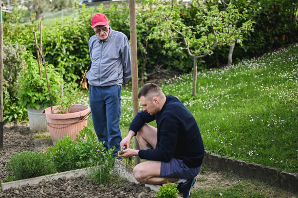 istock Family working in a vegetable garden. 2148832021